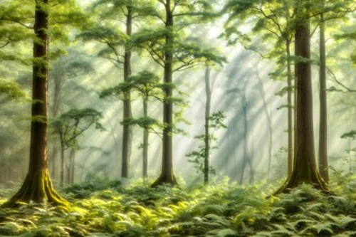 フィトンチッド